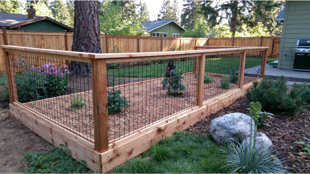 box wire fence in a backyard