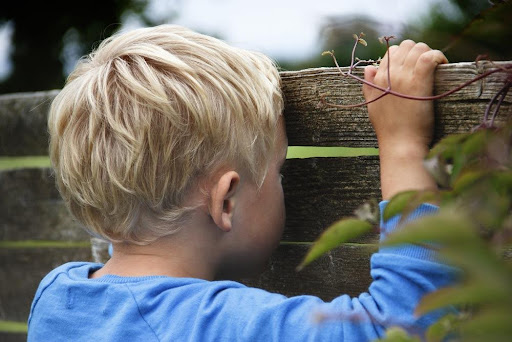 Small child peering through the gap in a wooden fence
