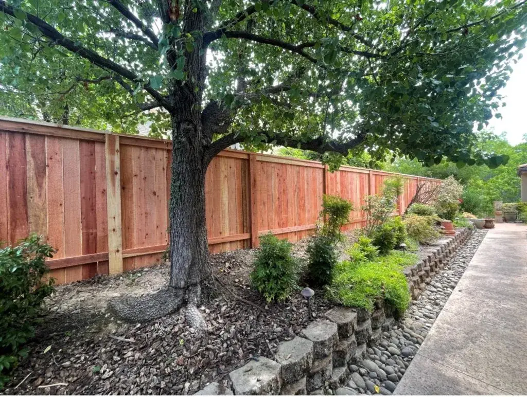 A wooden privacy fence surrounding a garden with a tree and well-maintained shrubs.