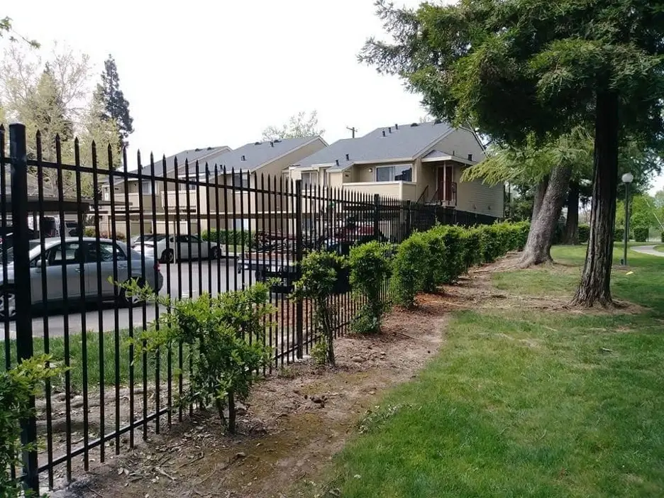 A black wrought iron fence with sharp tips, bordering a residential parking area and green space.