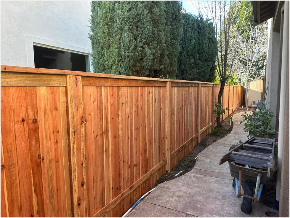 pressure treated wood for fence