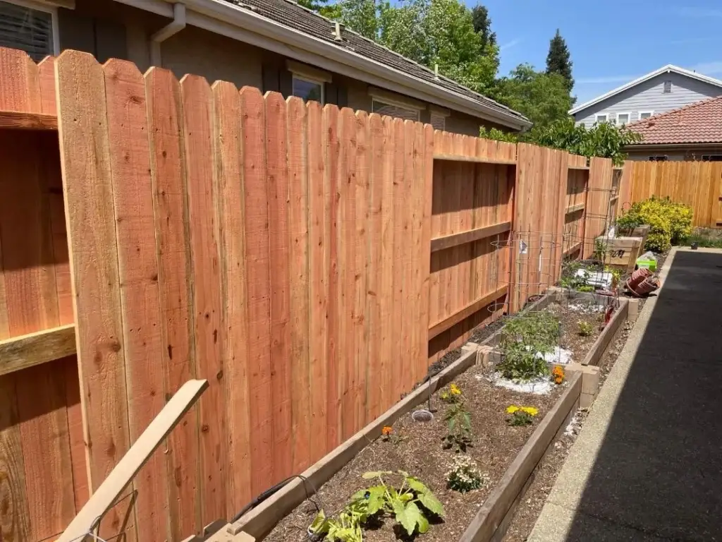 A freshly installed cedar fence alongside a garden bed, with plants growing in the soil. Perfect for sharing fence repair costs.