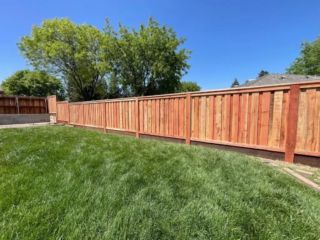 A newly installed cedar fence with a neat lawn and clear blue sky above.