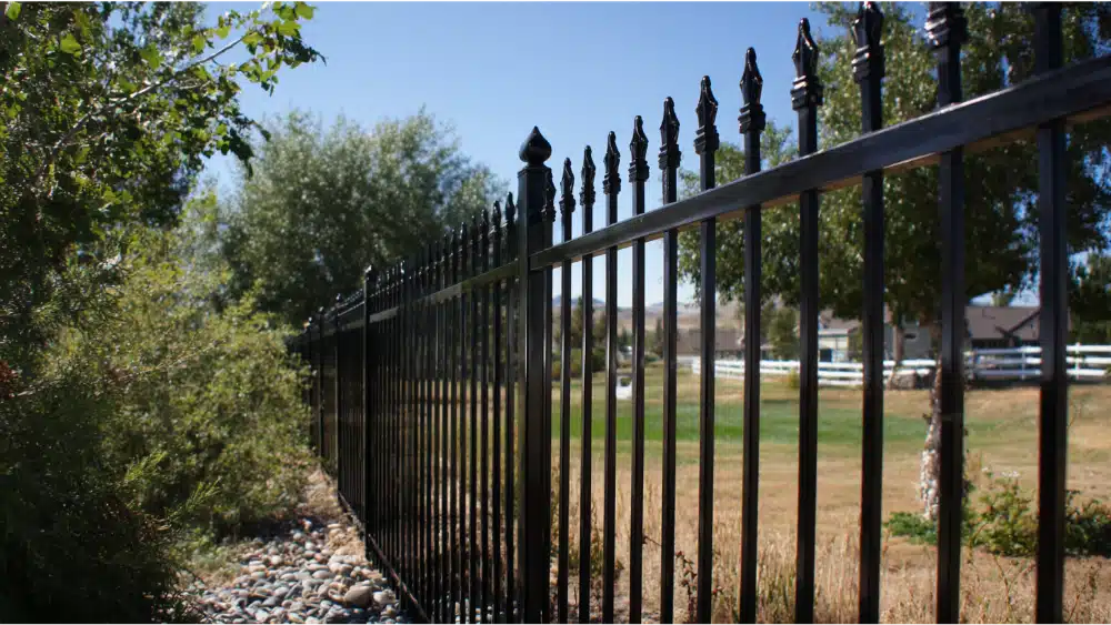 Design and Curb Appeal