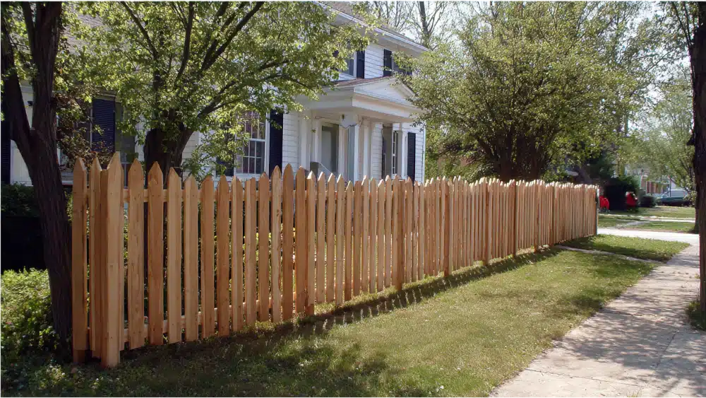 privacy frence yard
