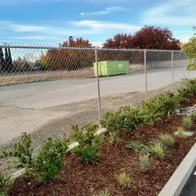 Image for choice number 5