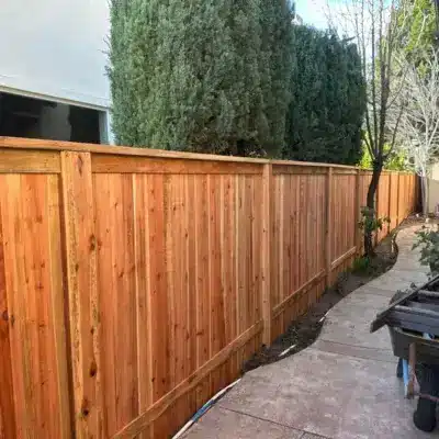 Image for choice number 2