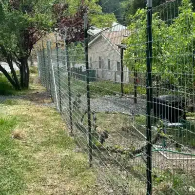 Image for choice number 9