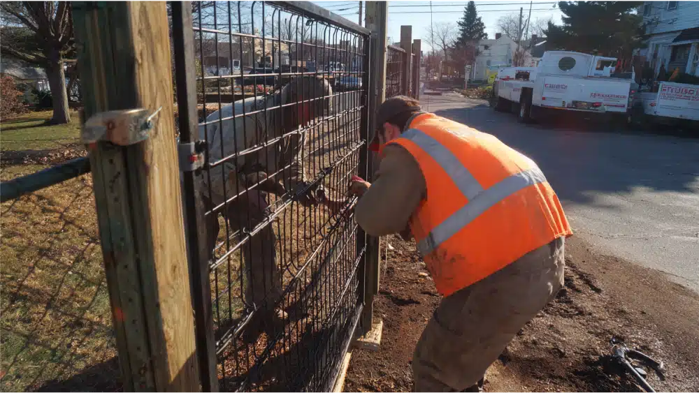 Why Professional Gate Installation Matters