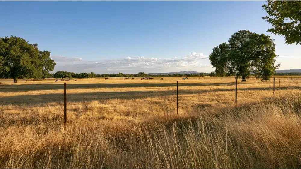 Electric fencing used with a field fence to safely contain livestock on a California property