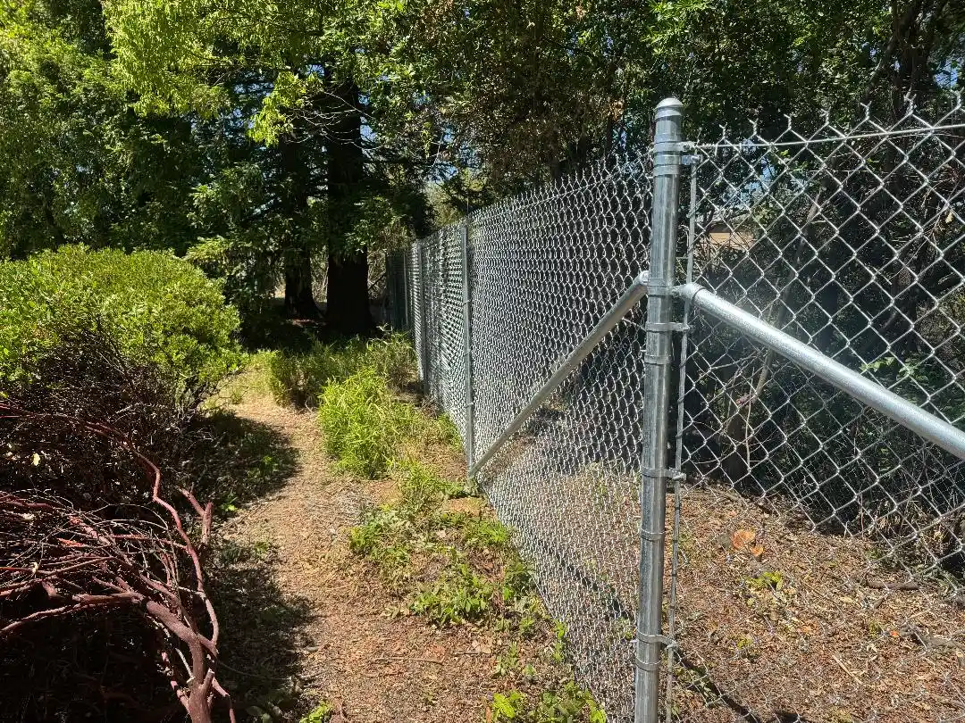 backyard hog fence
