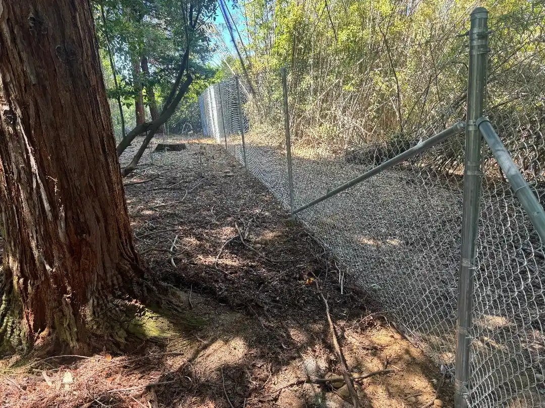 backyard fence